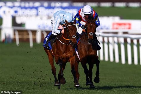Honeysuckle & Constitution Hill light up day one at Cheltenham.